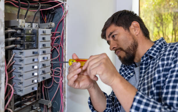 Best Electrical System Inspection  in Woodfin, NC